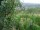 Webcam in Feuerbach, 2.3 mi away
