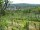 Webcam in Feuerbach, 5 km