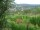 Webcam in Feuerbach, 5.5 mi away