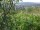 Webcam in Feuerbach, 3.7 mi away