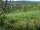 Webcam in Feuerbach, 4.8 mi away