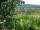 Webcam in Feuerbach, 7.5 mi away