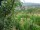Webcam in Feuerbach, 1.8 mi away