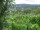 Webcam in Feuerbach, 5.2 km