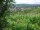 Webcam in Feuerbach, 5.8 km