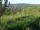 Webcam in Feuerbach, 4.6 km entfernt
