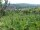 Webcam in Feuerbach, 9.9 km entfernt