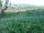 Webcam in Feuerbach, 15.7 km entfernt