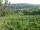 Webcam in Feuerbach, 12.6 km entfernt