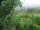 Webcam in Feuerbach, 8.5 mi away