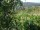 Webcam in Feuerbach, 28.4 km