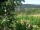 Webcam in Feuerbach, 7.5 mi away