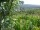Webcam in Feuerbach, 8.5 mi away