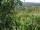 Webcam in Feuerbach, 10.3 mi away