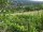 Webcam in Feuerbach, 18.4 km