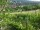 Webcam in Feuerbach, 17.3 km