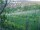 Webcam in Feuerbach, 7.1 mi away