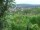 Webcam in Feuerbach, 14 km entfernt