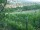 Webcam in Feuerbach, 7.1 mi away