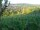 Webcam in Feuerbach, 4.8 mi away