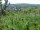 Webcam in Feuerbach, 2 mi away