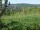 Webcam in Feuerbach, 1.8 mi away