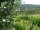 Webcam in Feuerbach, 18.6 km entfernt