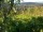 Webcam in Feuerbach, 5.9 km