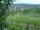Webcam in Feuerbach, 4 mi away