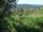 Webcam in Feuerbach, 4 mi away