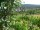 Webcam in Feuerbach, 7.2 mi away