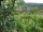 Webcam in Feuerbach, 3.7 mi away