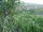 Webcam in Feuerbach, 7.1 mi away