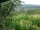 Webcam in Feuerbach, 3.4 mi away