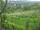 Webcam in Feuerbach, 5.6 mi away