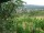 Webcam in Feuerbach, 8.5 mi away