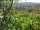 Webcam in Feuerbach, 3.7 mi away