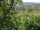 Webcam in Feuerbach, 7.1 mi away