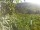 Webcam in Feuerbach, 7.1 mi away
