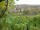 Webcam in Feuerbach, 5.5 mi away