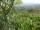 Webcam in Feuerbach, 9.6 mi away