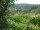 Webcam in Feuerbach, 11.7 mi away