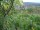 Webcam in Feuerbach, 1.9 mi away
