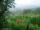 Webcam in Feuerbach, 4.4 mi away