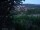 Webcam in Feuerbach, 10.3 km