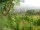 Webcam in Feuerbach, 7.5 mi away