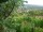 Webcam in Feuerbach, 4.4 mi away