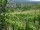 Webcam in Feuerbach, 8.5 mi away