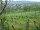 Webcam in Feuerbach, 4.3 mi away