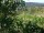 Webcam in Feuerbach, 15.3 mi away